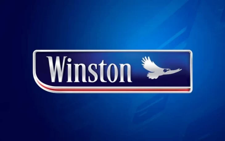 Winston: от первых шагов до сегодняшних дней